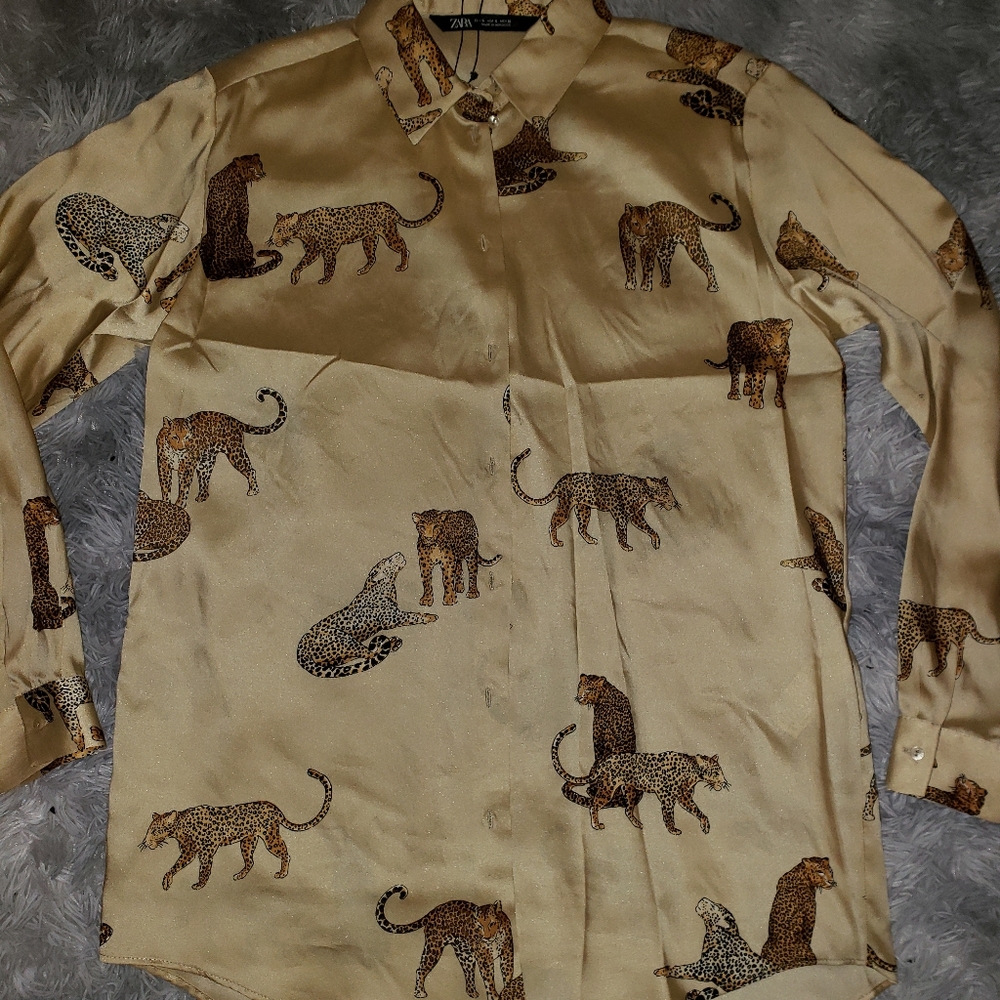 Blouse (Zara women's)